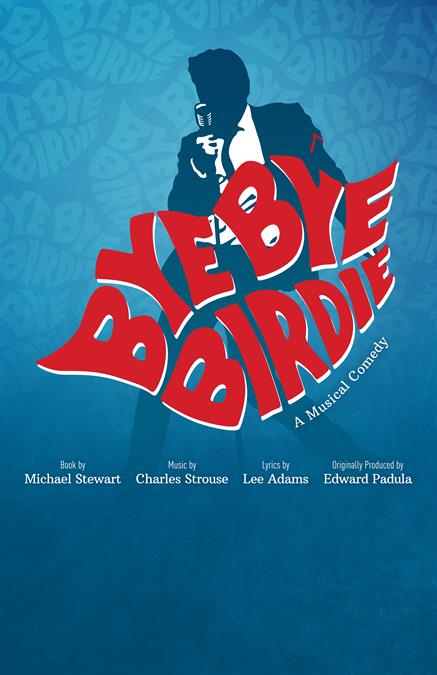 Bye Bye Birdie poster